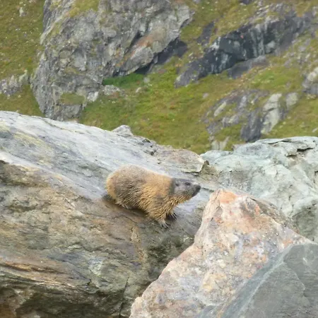 * Lioutraz * 샤모니