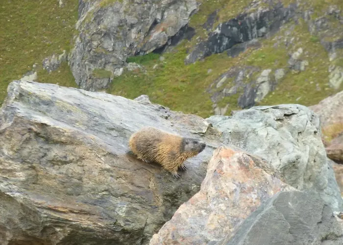 * Lioutraz * Chamonix