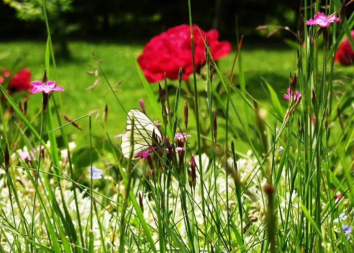 * Lioutraz * Dağ evi *